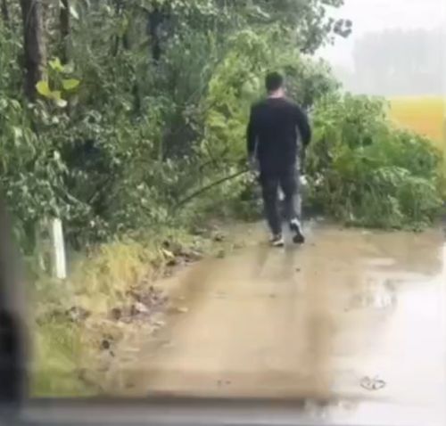 Был он здесь... Да вот исчез...⁠⁠