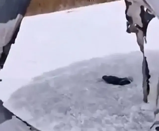 Спасибо, пожалуйста⁠⁠