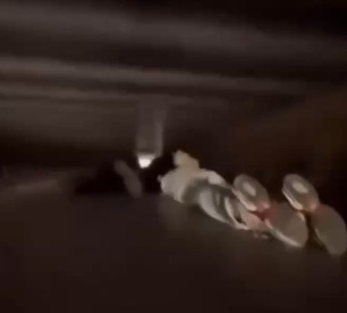 Накатался и спит⁠⁠