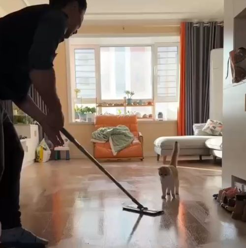 Куда по помытому?