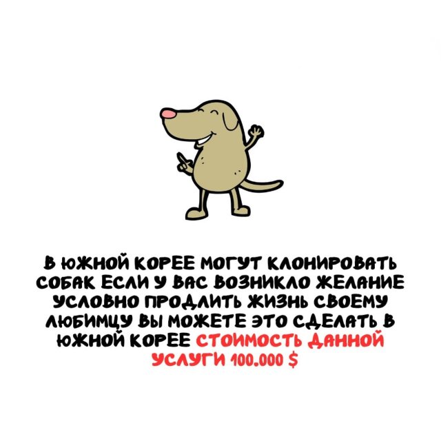 Интересные факты на все случаи жизни 11.04.2026