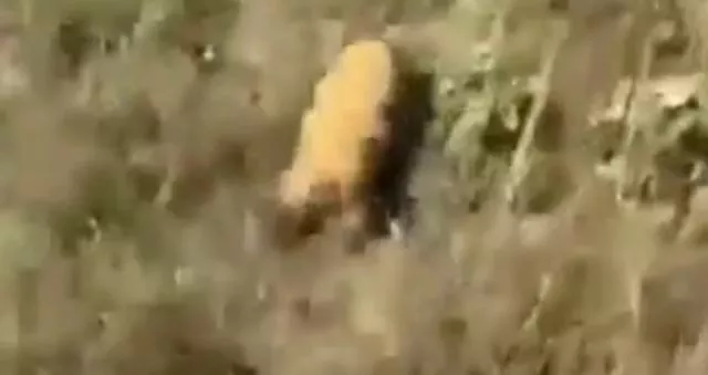 - А ты че убегал?⁠⁠