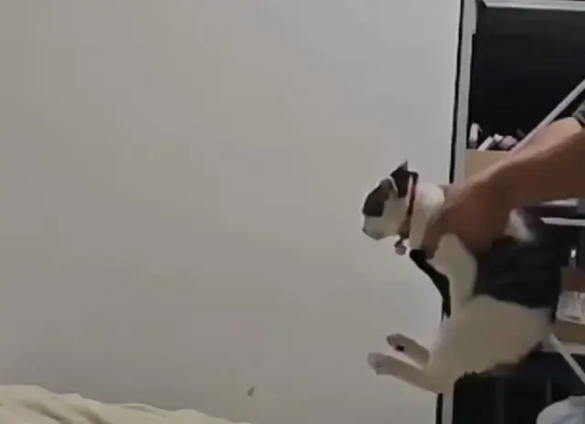 Замедление делает любое видео лучше