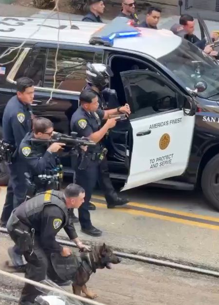В США копы использовали полицейскую собаку для усмирения мужчины, который напал на парковщика