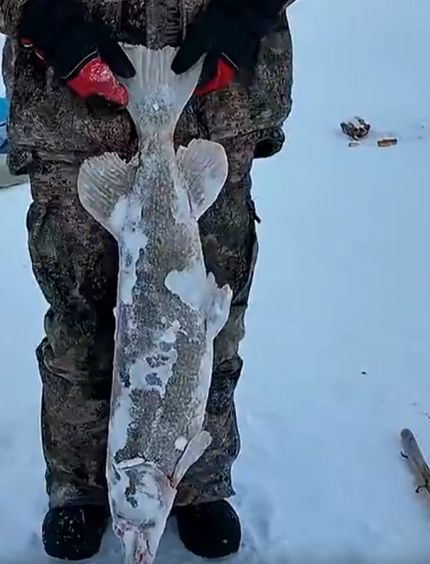 Якутское блюдо