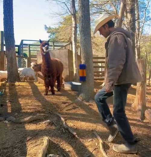 Хватит уже⁠⁠