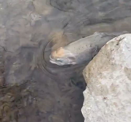 Проваливай с его земли⁠⁠