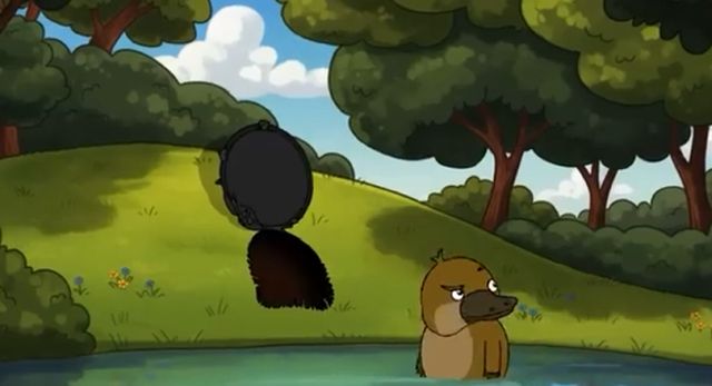 Почему быть утконосом - отстой