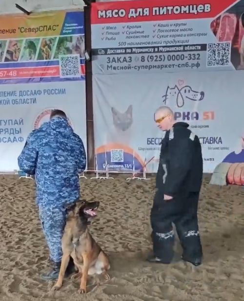 Ошибочка вышла