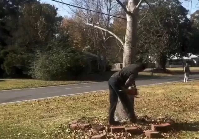 Топ неожиданных концовок