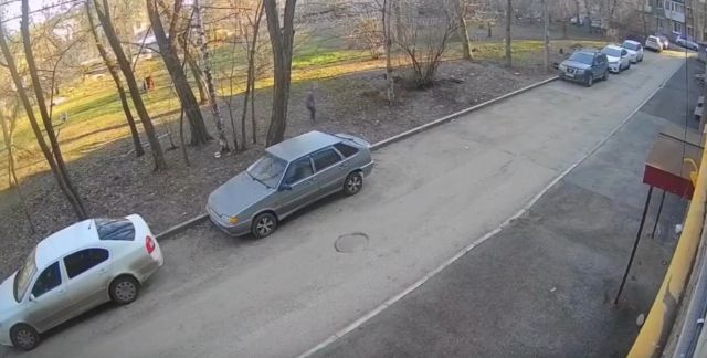 В Самаре стая бездомных собак набросилась на ребенка