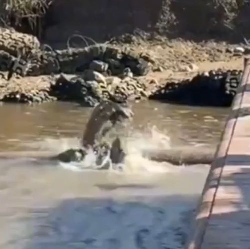 Какое-то облегчение после увиденного⁠⁠