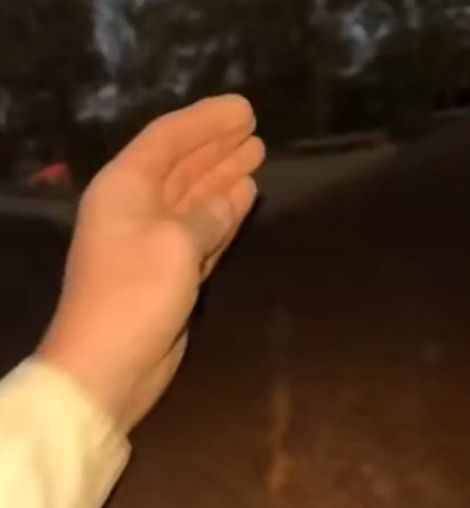 Он укусил его лошадь, ему за это отомстили