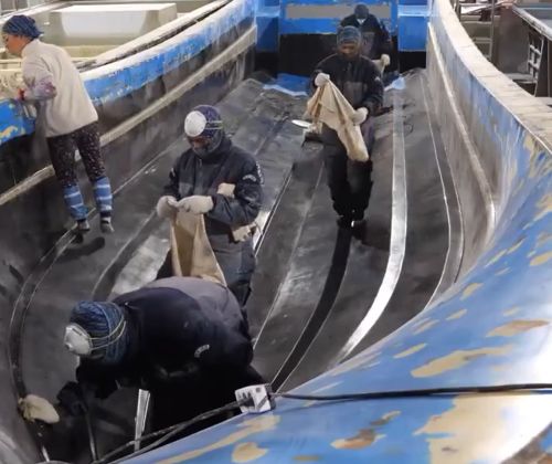 Процесс изготовления гигантской лодки из стеклопластика⁠⁠