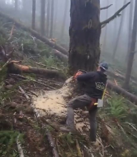 Обделался испугом