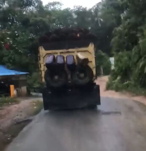 Профессионал⁠⁠