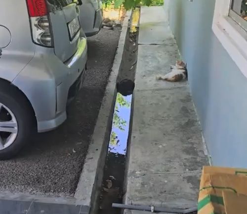 Естественная дамба