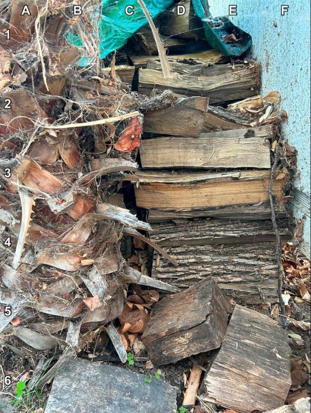 Тест на внимательность