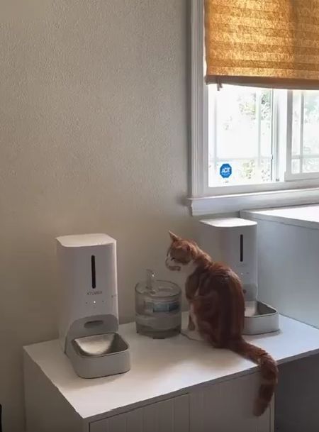 Когда встал, но еще не проснулся⁠⁠