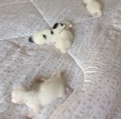 Материнство⁠⁠