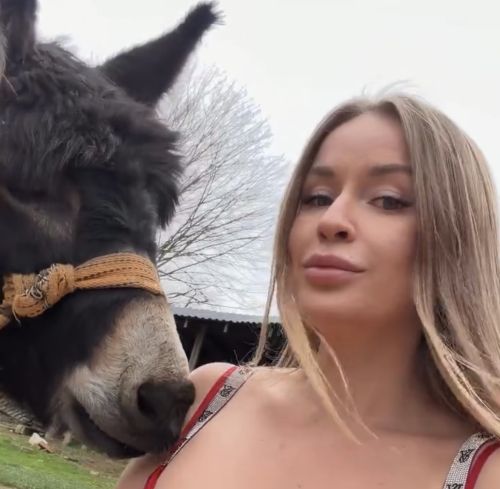 Немного из жизни ослика