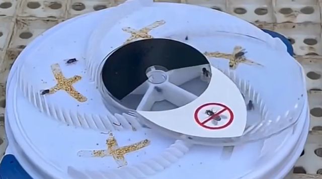 Автоматический майнер мух⁠⁠