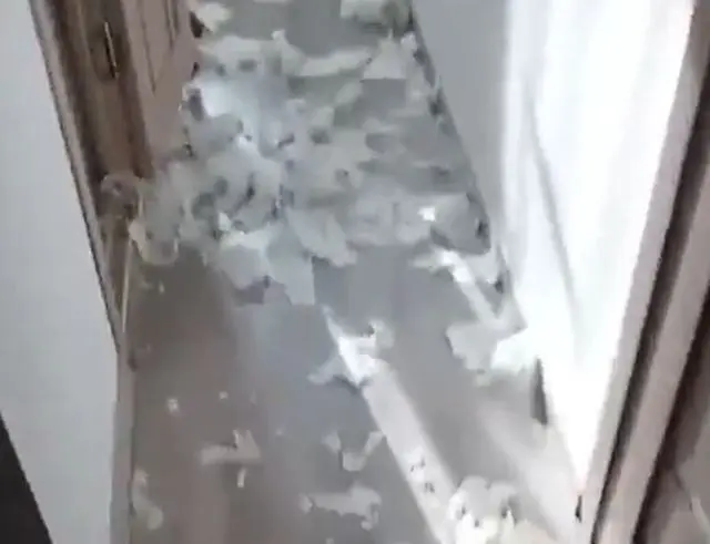 Наташа, я сам не знаю как так вышло