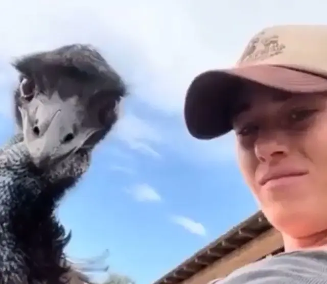 Спи моя птичка усни...⁠⁠