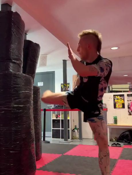 Коты ночью⁠⁠