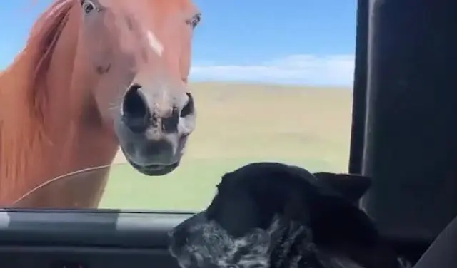 Толян погнали уже, а?⁠⁠