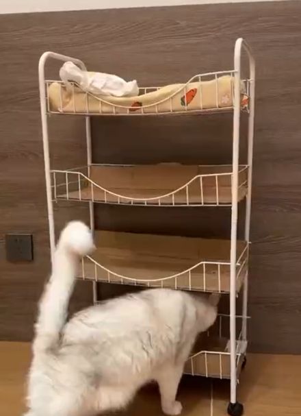 Общага