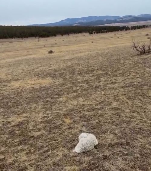 А где все!?⁠⁠