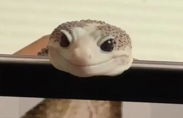 Чем я не динозавр?⁠⁠