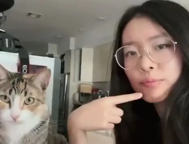 Женщина собрала для своей кошки игровой автомат