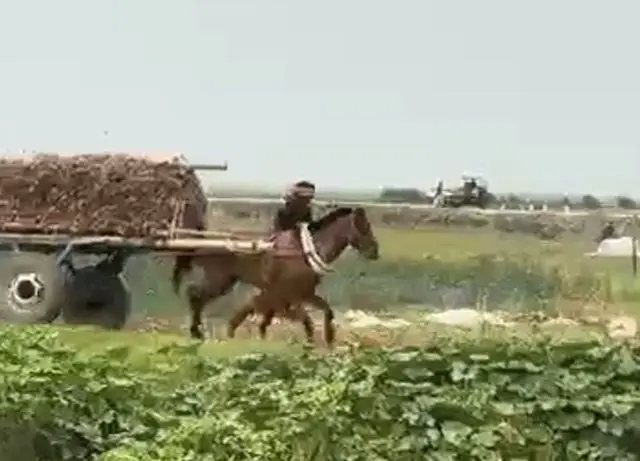 Не дотянули малёха