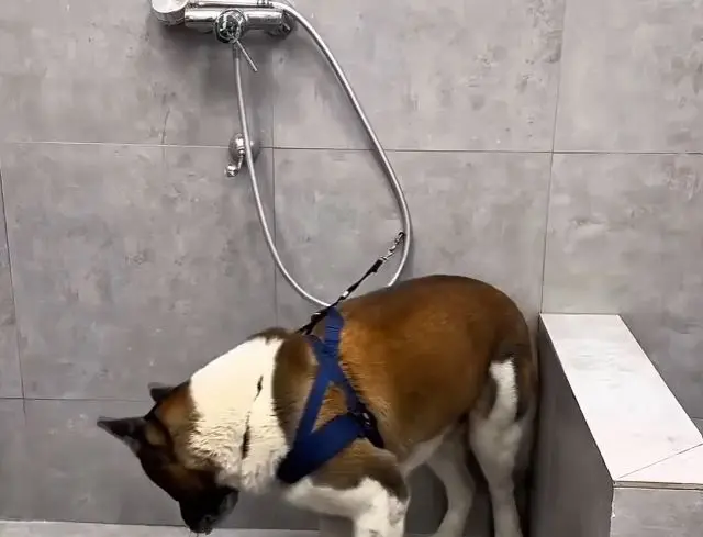 Пациент⁠⁠