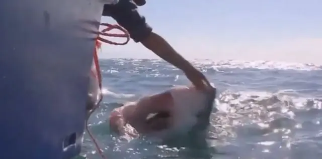 Не бойтесь, она не кусается!⁠⁠