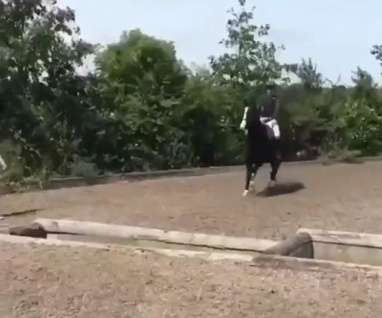 Ты реально хочешь, чтобы я через всё это прыгал?.. Охолонись, братан!⁠⁠