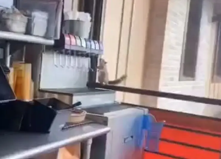 Утренняя жажда