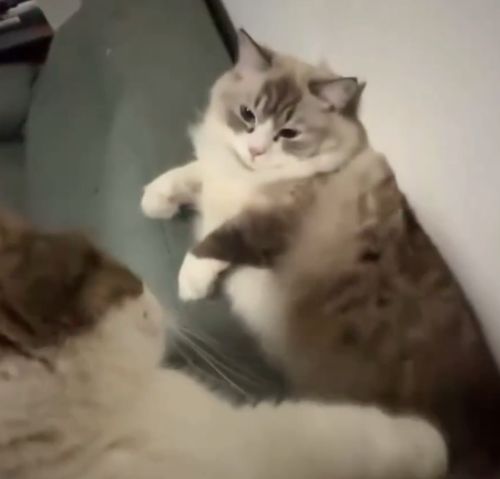 Унесите это немедленно!⁠⁠