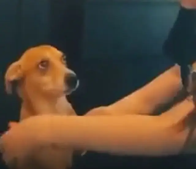 Этому взгляду простишь всё на свете⁠⁠