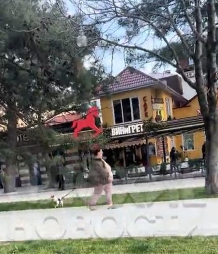 В Краснодарском крае девушка кинула собачьи фекалии в хозяйку пса после отказа убрать за животным