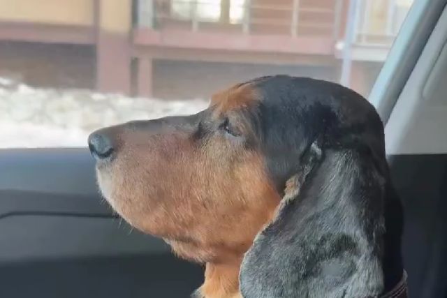 Не понравилась стрижка