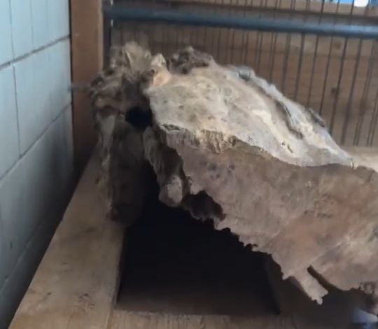 Ты впитал тьму. Он родился в ней, был вылеплен ею