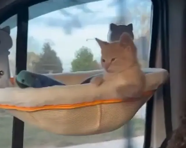 Лучшая компания для путешествий⁠⁠