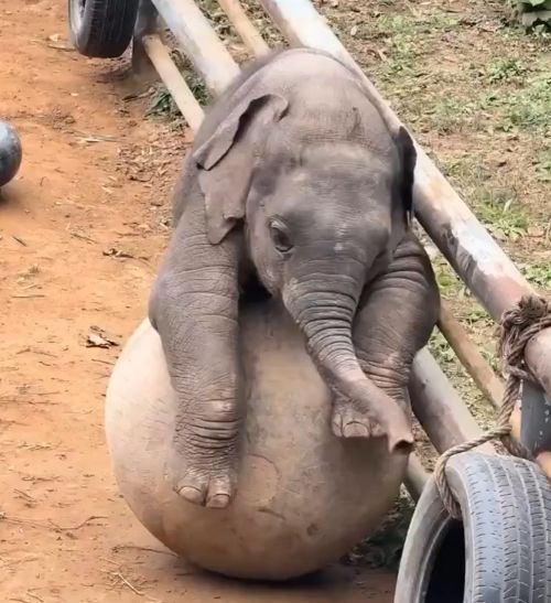 Переживают за (относительно) мелкого⁠⁠