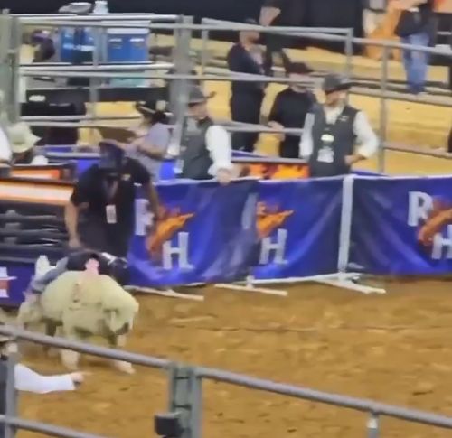 Баран уничтожает юного ковбоя на родео⁠⁠