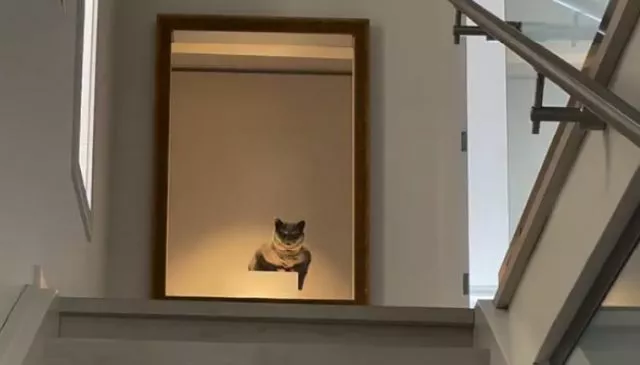 Реалистичная картина