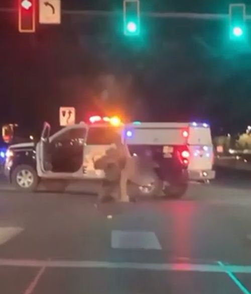 Это на сколько звезд GTA тянет?