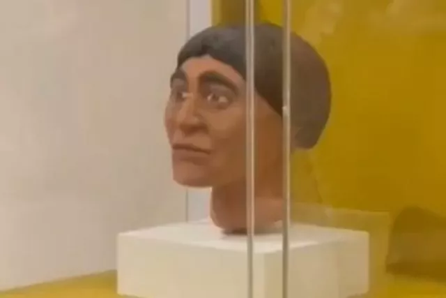 Он только что нашёл своего предка⁠⁠